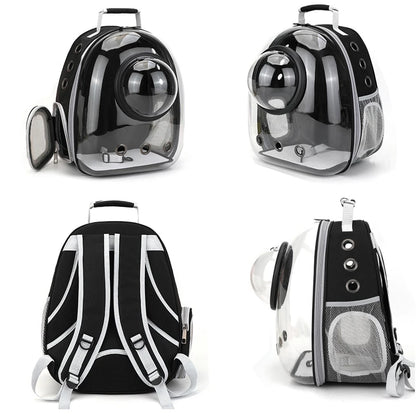 Transparent Pet Backpack