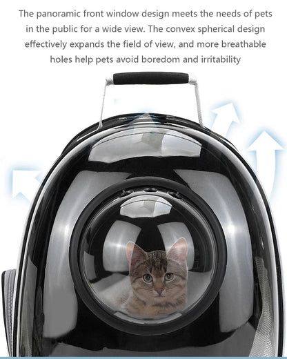 Transparent Pet Backpack