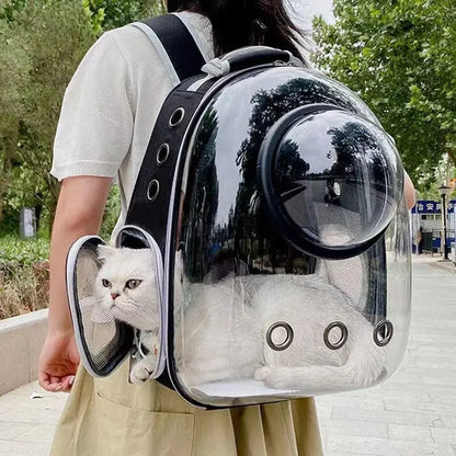 Transparent Pet Backpack