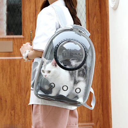 Transparent Pet Backpack